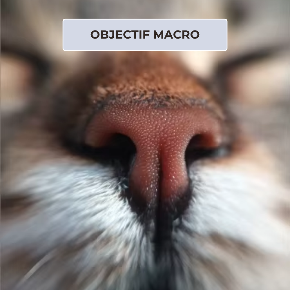 Le kit d'objectifs smartphones qui transforme vos moments conviviaux en souvenirs