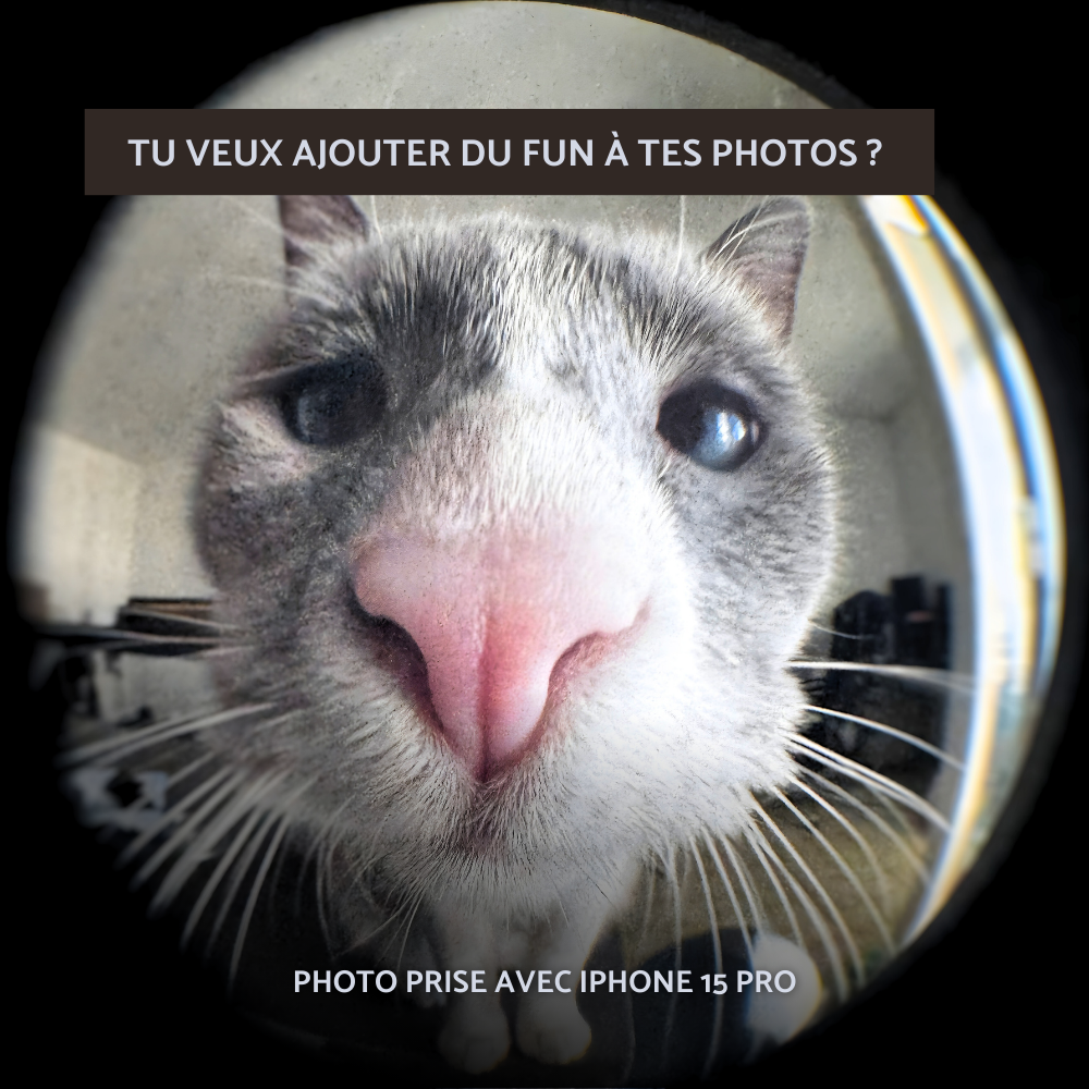 KIT D'OBJECTIFS - Fisheye, grand angle et macro pour construire ton univers